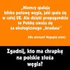 Wszystko w temacie 