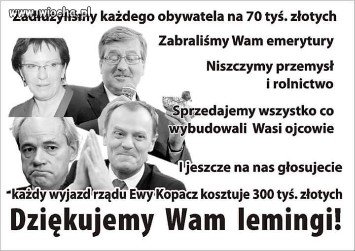 Zgraja 