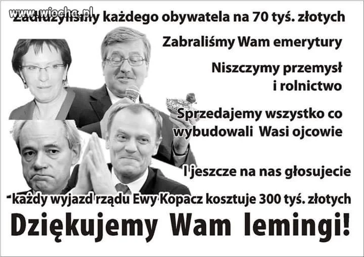Zgraja 