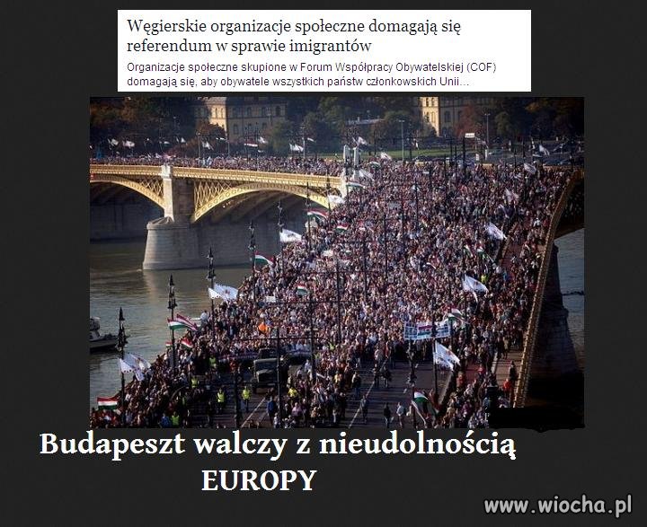 Patrzcie lemingi na Budapeszt jaka solidarność !