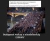 Patrzcie lemingi na Budapeszt jaka solidarność !