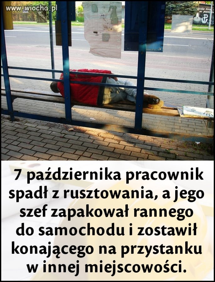 Wszystko wszystkim