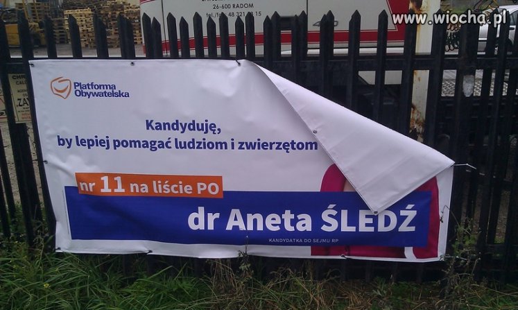 Ja już im nie uwierzę, to wzięli się za mojego psa