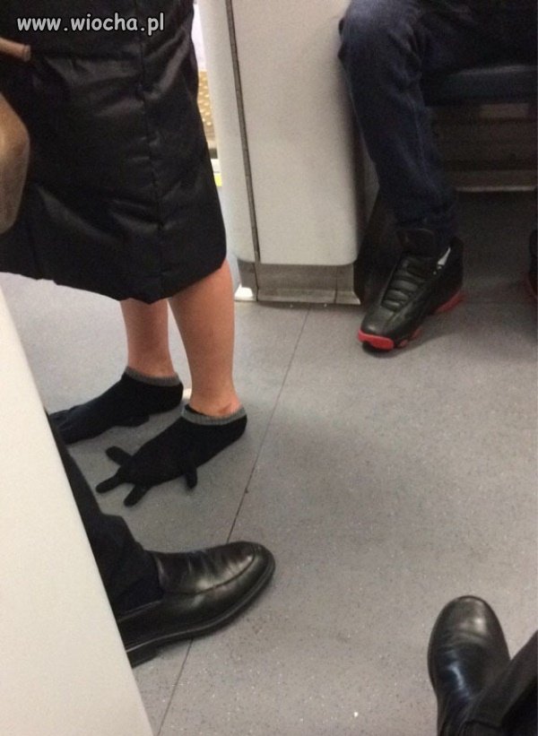 Zima taka jest