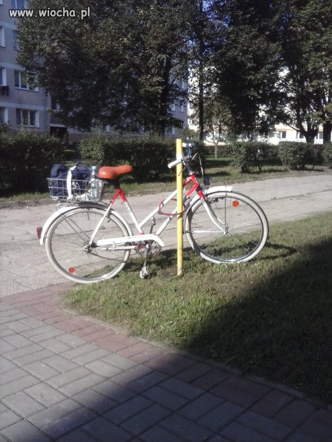 Mistrzyni zabezpieczeń