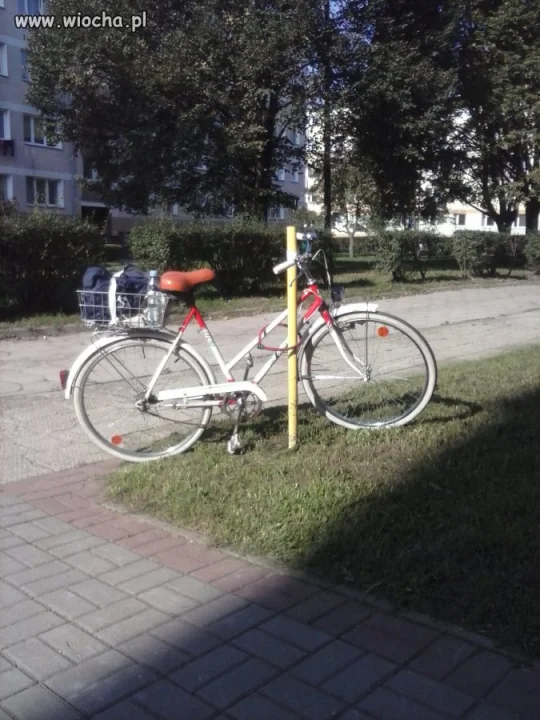 Mistrzyni zabezpieczeń