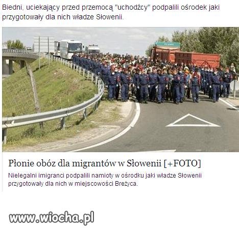 Płonie ośrodek dla migrantów w Słowenii