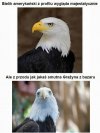 Krystyna z bazaru