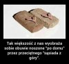 Zagadka rozwiązana 