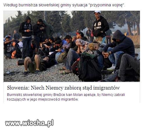 Słowenia niech Niemcy zabiorą stąd imigrantów.