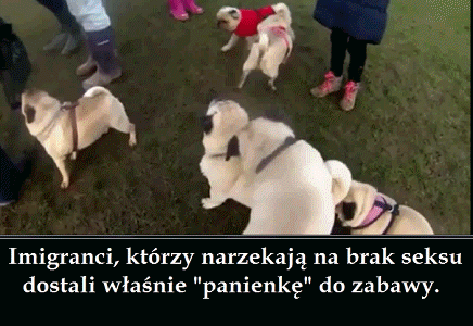 Chłopaki  