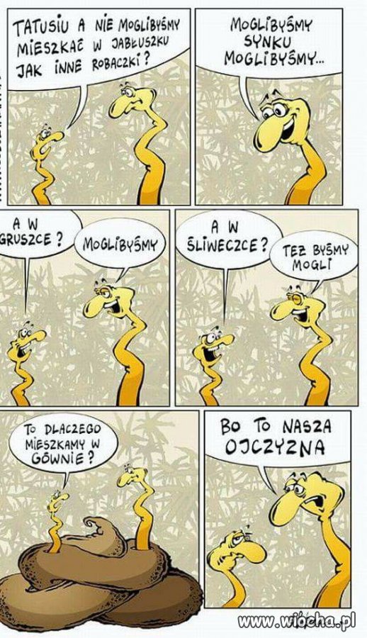 Jakie to Polskie 