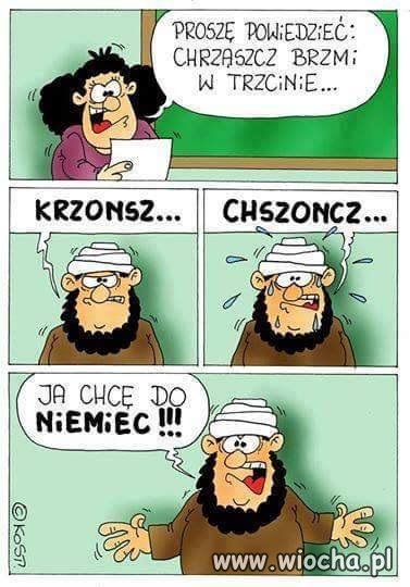 Test dla imigrantów