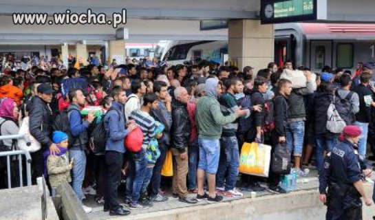 Czy my tego chcemy - NIE DLA EMIGRANTÓW