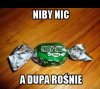 Niby nic