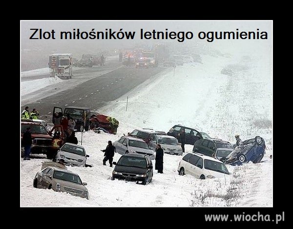 Zlot