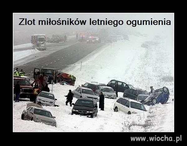 Zlot