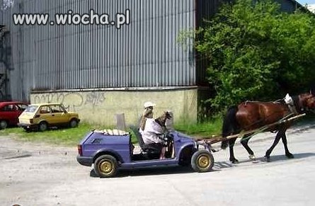 Ekologicznie