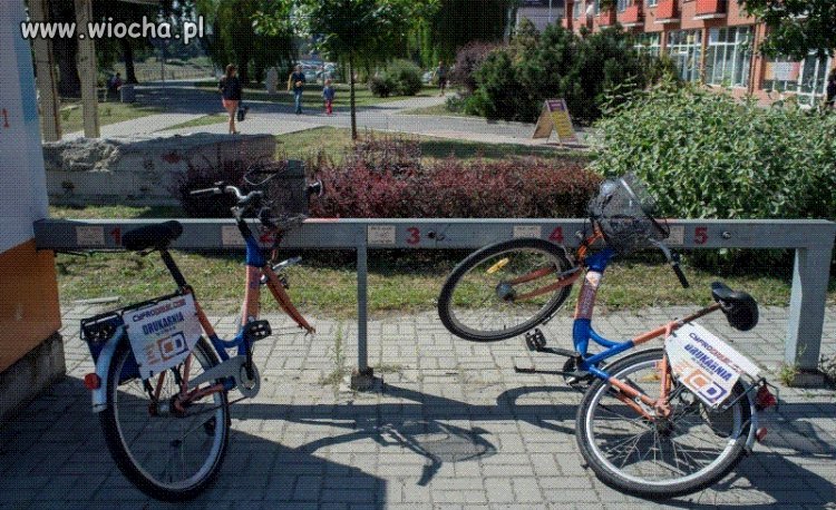 Tymczasem Rzeszów zakupił niedawno rowery miejskie