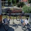 Tymczasem Rzeszów zakupił niedawno rowery miejskie