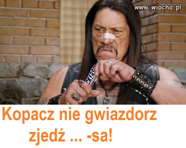 Dla ukojenia serc 23% lemingów 