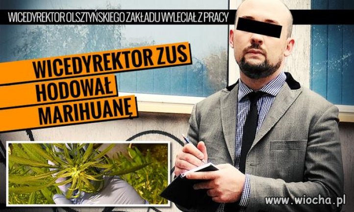 Nie dość że okradają nas