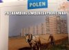 Polska 