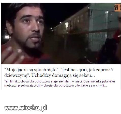 Moje jądra są spuchnięte! imigrant domaga się sexu