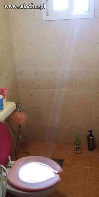 Święty Wc