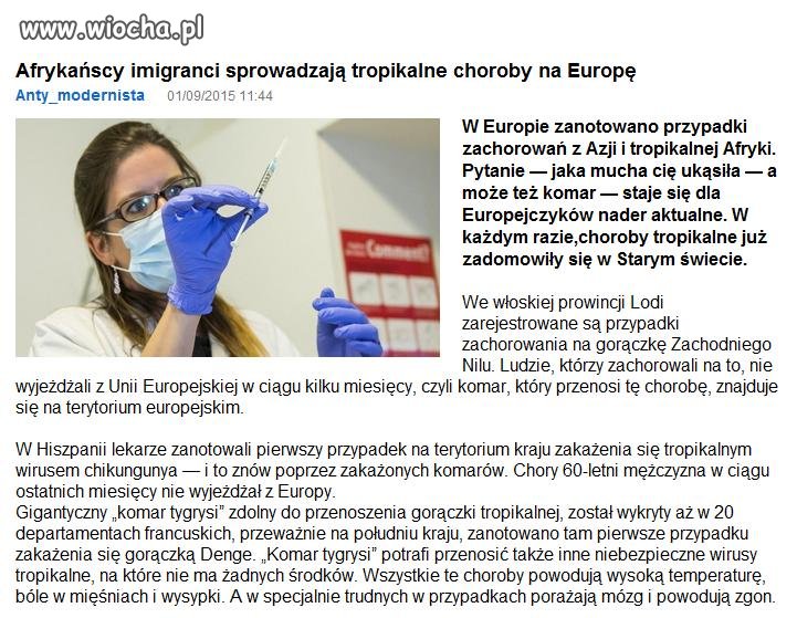 Nie dość że będą żerować na zasiłkach
