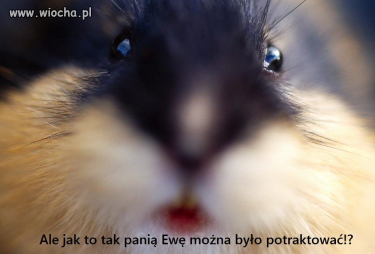 Istny koszmar na jawie