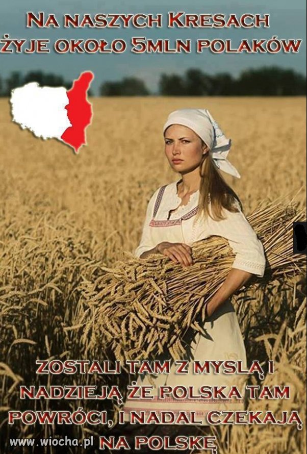 Obecny rząd woli imigrantów.