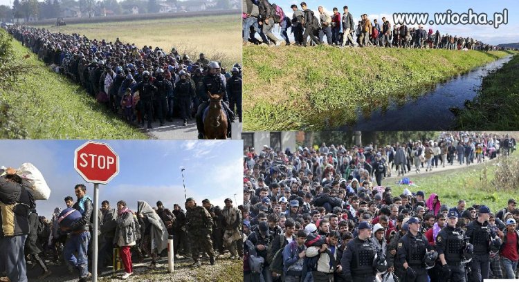 Tak to jest INWAZJA a nie migracja. STOP!!