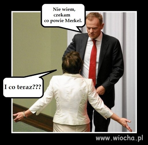 Po instrukcje leci do swej pani 