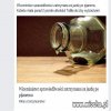 Ryba psuje się od głowy. 