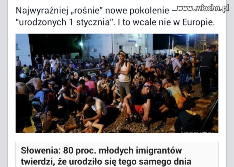 80 % imigrantów urodziło się 1-go stycznia.