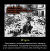 Wojna - przyczyny