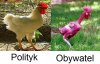 Niebawem wybory