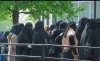Tak będą wyglądać damy w Europie za pięć lat