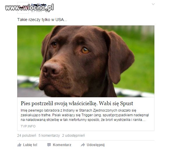 Niezły miał spust 