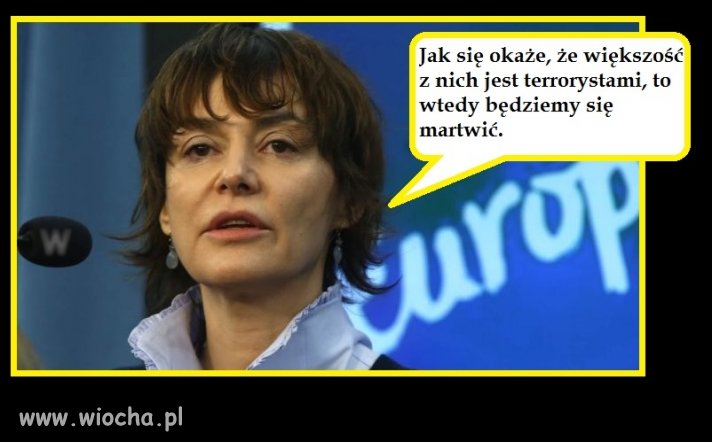 Logika feministek 