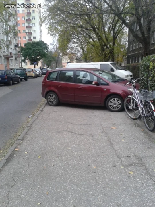 MISTRZ PARKOWANIA