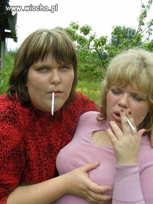 Bez obrazy Rexica po odebraniu zasiłku 