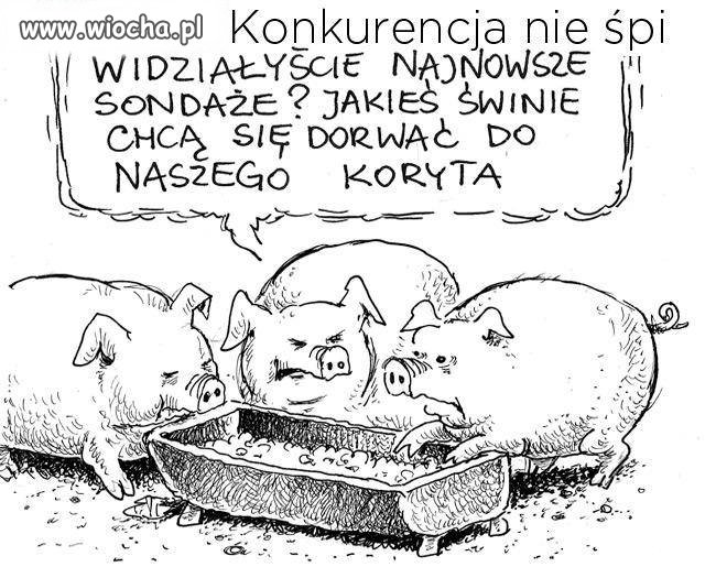Chyba wybory