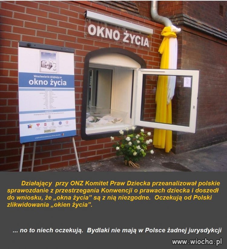   „Okna  życia”   łamią  prawa  dziecka?