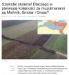 Jak to żydki za pomocą islamu...