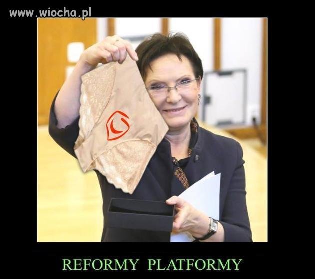Reformy Platformy