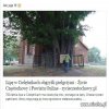 Gorsi niż zające