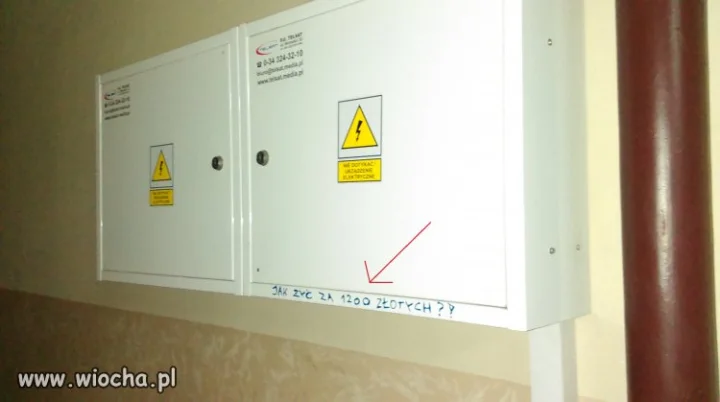 Jak żyć premier Kopacz!!! Jak żyć!???