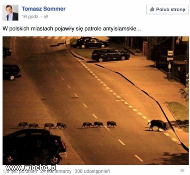 Patrole antyislamskie he he he